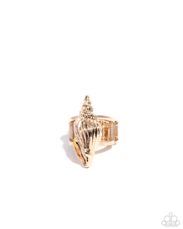 California Conch - Gold