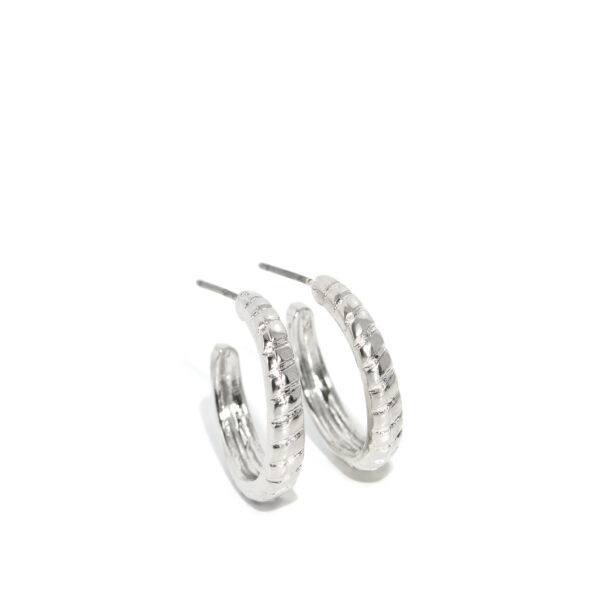 Curvy Charisma - Silver Hoop Earrings
