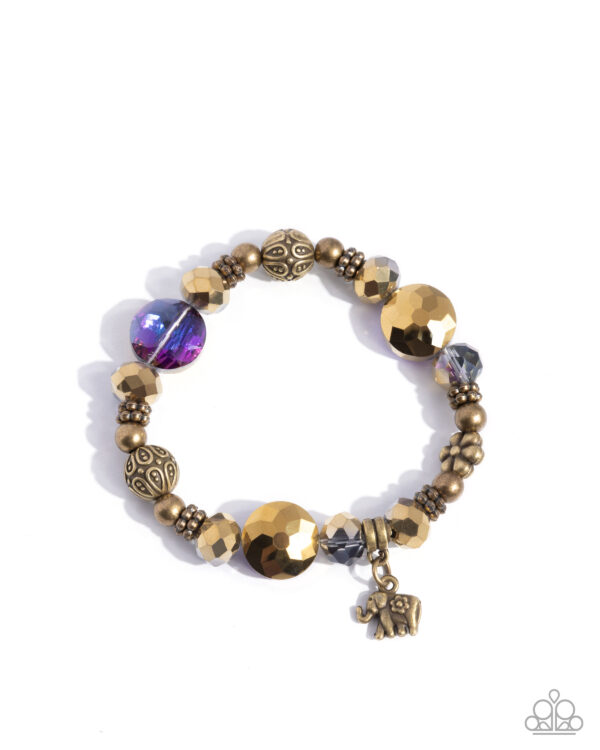Zoology Degree - Purple