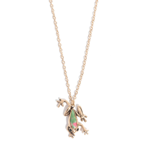 Flashy Tree Frog - Multi