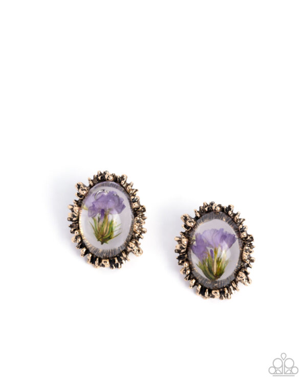 Elaborately Encased - Gold Post Earrings